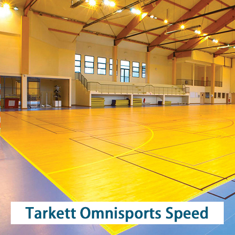 proimages/products-3/Tarkett_Omnisports_Speed/Tarkett_Omnisports_Speed480.jpg