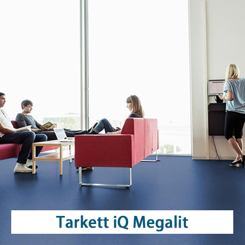 proimages/products/Tarkett_iQ_Megalit/Tarkett_iQ_Megalit480.jpg